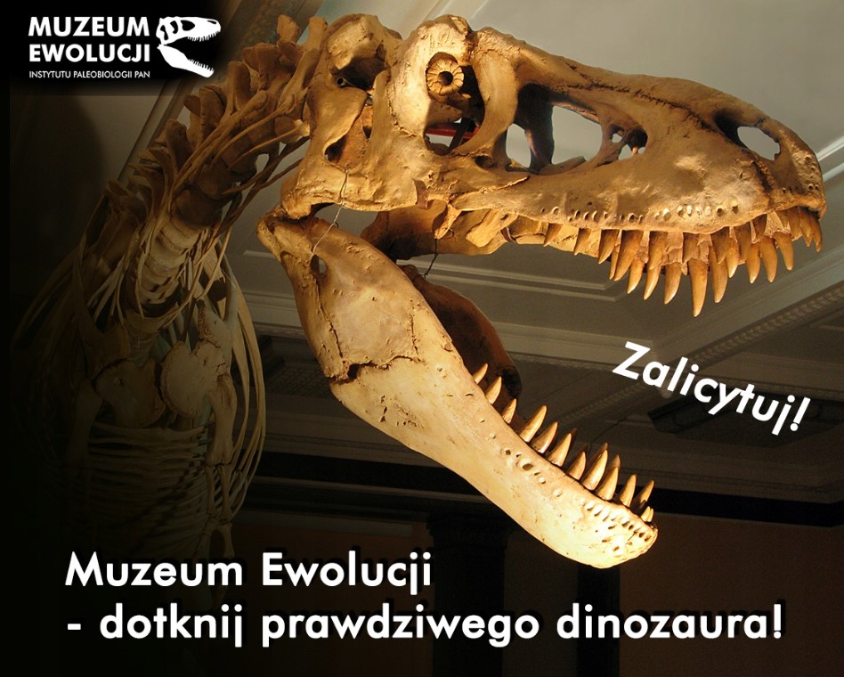 Aukcja "Specjalne zwiedzanie Muzeum Ewolucji Instytutu Paleobiologii"