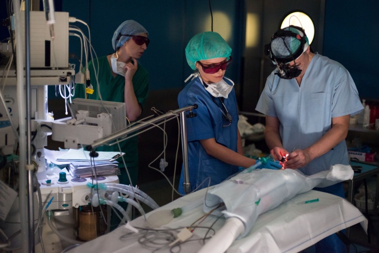 Operacja wzroku noworodka przeprowadzona z pomocą sprzętu zakupionego przez Fundację WOŚP, fot. Łukasz Widziszowski