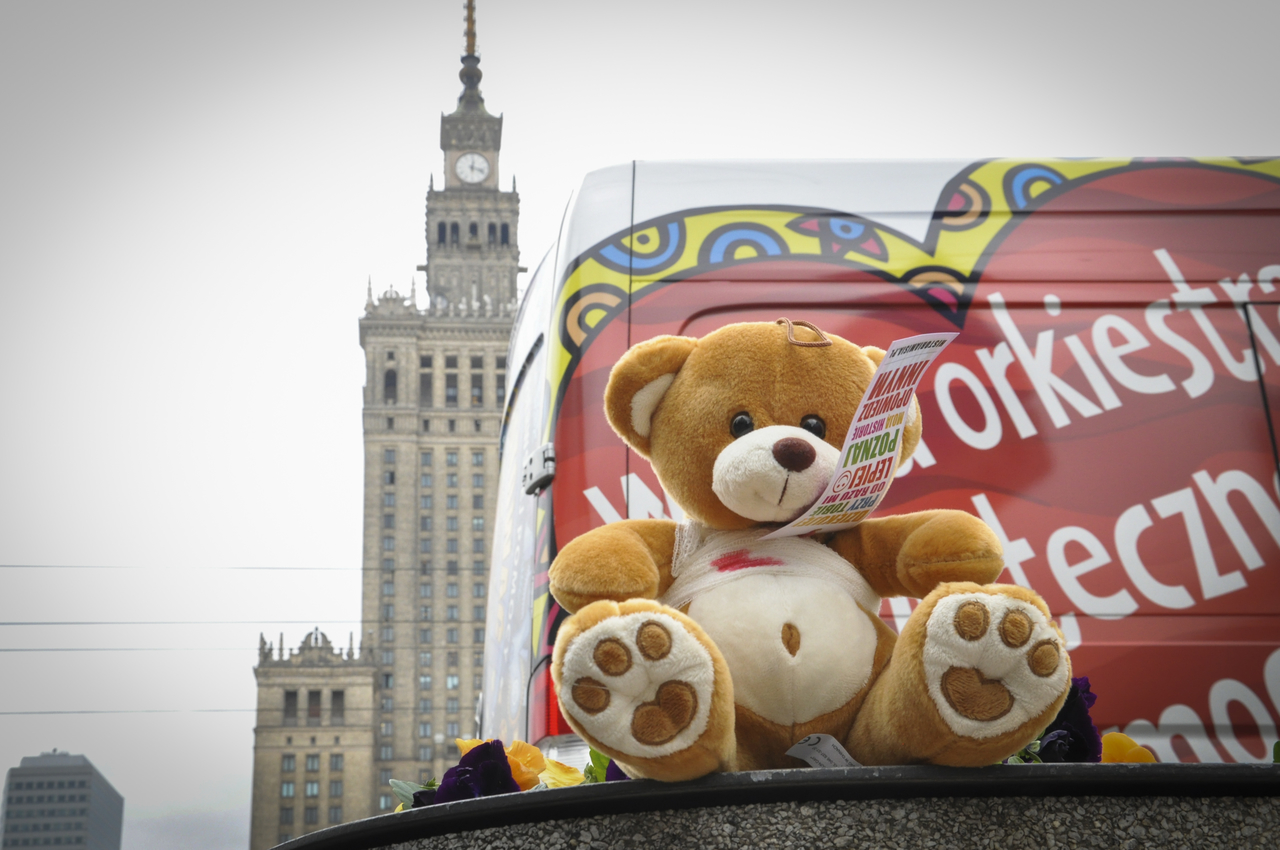 Teddy’s Tale – Don’t hurt me, love me! action organized by the GOCC Foundation, photo: Łukasz Widziszowski